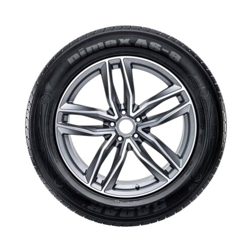 All-Season Passenger Car Tire
